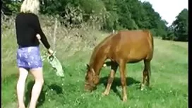 Nyrkkinainti, anaali ...