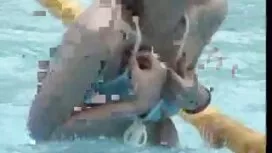 Seksi Vanessa seksi  ...