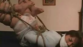 Teini ilmaisia porno ...