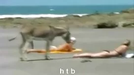 Söpöä. pornhub ilmai ...